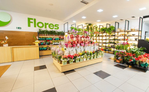 2024/2025 - Supermercados Avenida - Retrofit